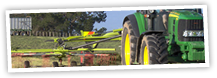 maize & Silage